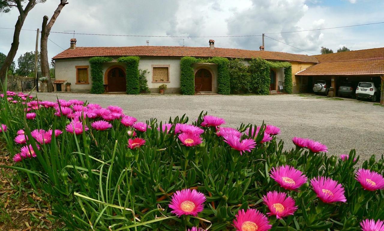 Agriturismo Monte Alzato Капальбіо Екстер'єр фото